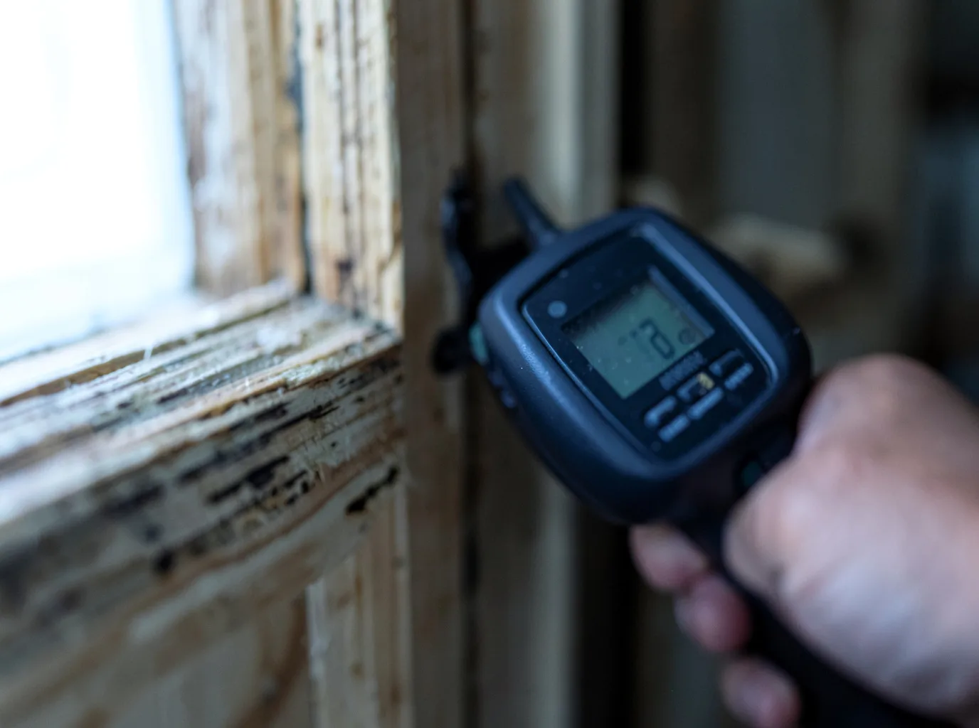 Moisture Inspection And Documentation in Cromwell, KY